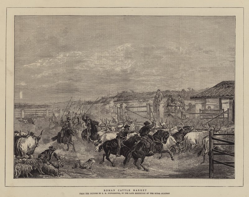 Römischer Viehmarkt von Charles H. Poingdestre