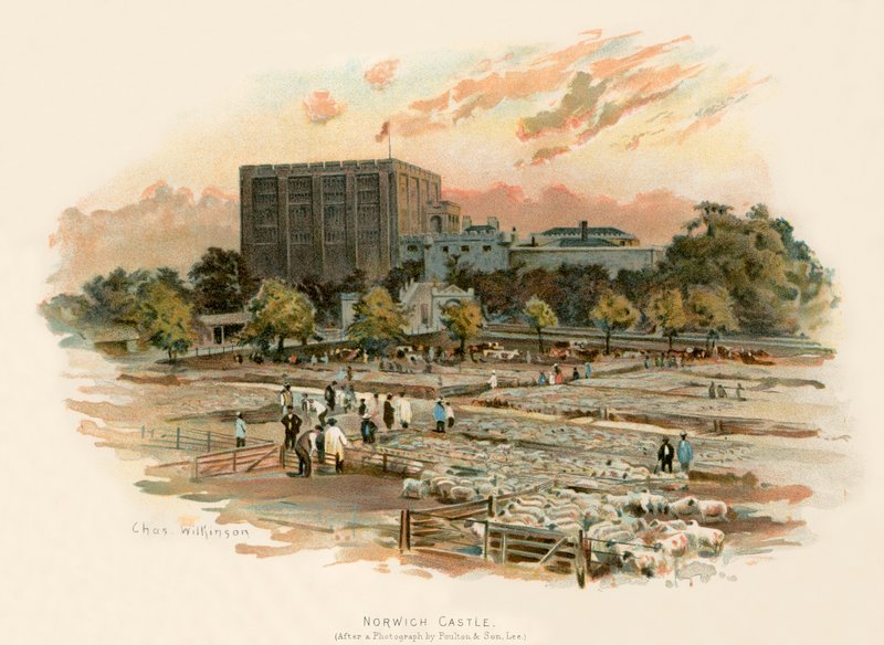 Schloss Norwich von Charles Wilkinson