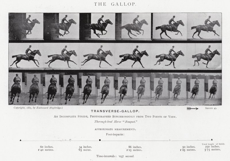 Eadweard Muybridge: Der Galopp von Eadweard Muybridge