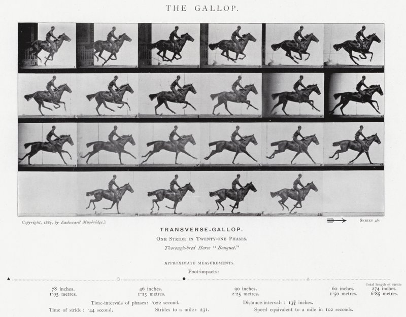 Eadweard Muybridge: Der Galopp (s/w Foto) von Eadweard Muybridge