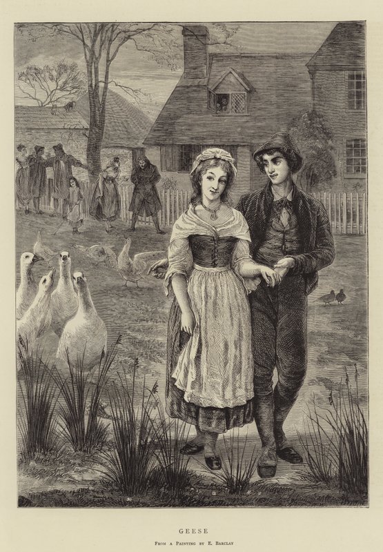 Gänse von Edgar Barclay