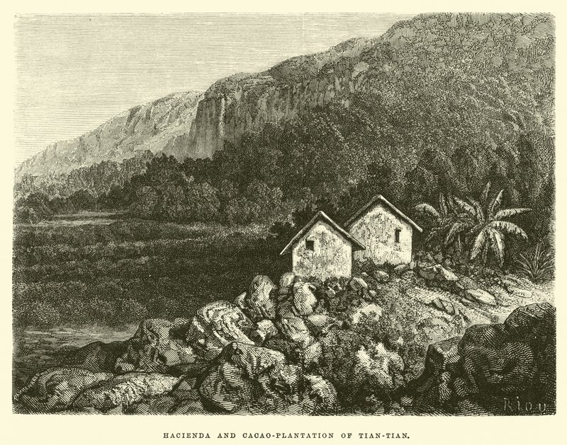 Hacienda und Kakaoplantage von Tian-tian von Edouard Riou