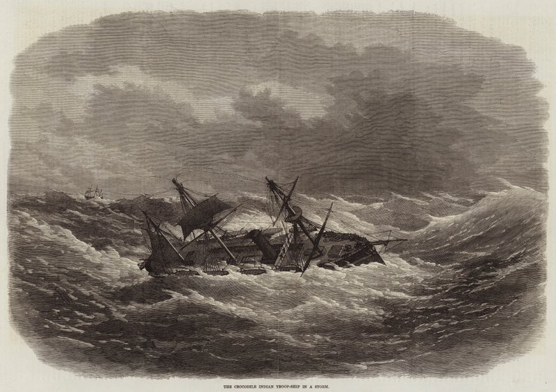 Das Krokodil-Indische Truppenschiff in einem Sturm von Edwin Weedon