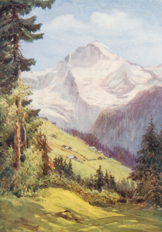 Schweiz von Effie Jardine