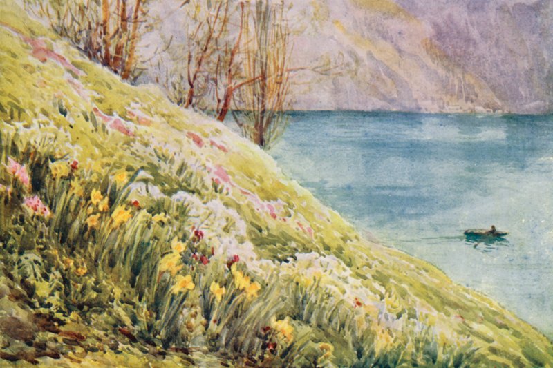 Schweiz von Effie Jardine