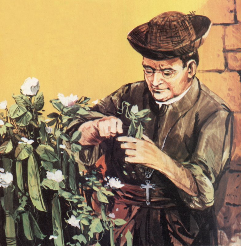 Johann Mendel arbeitet in seinem Klostergarten von English School