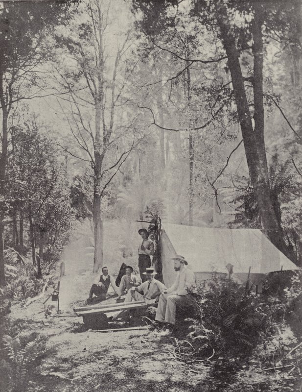 Ein Buschcamp, Tasmanien von English Photographer