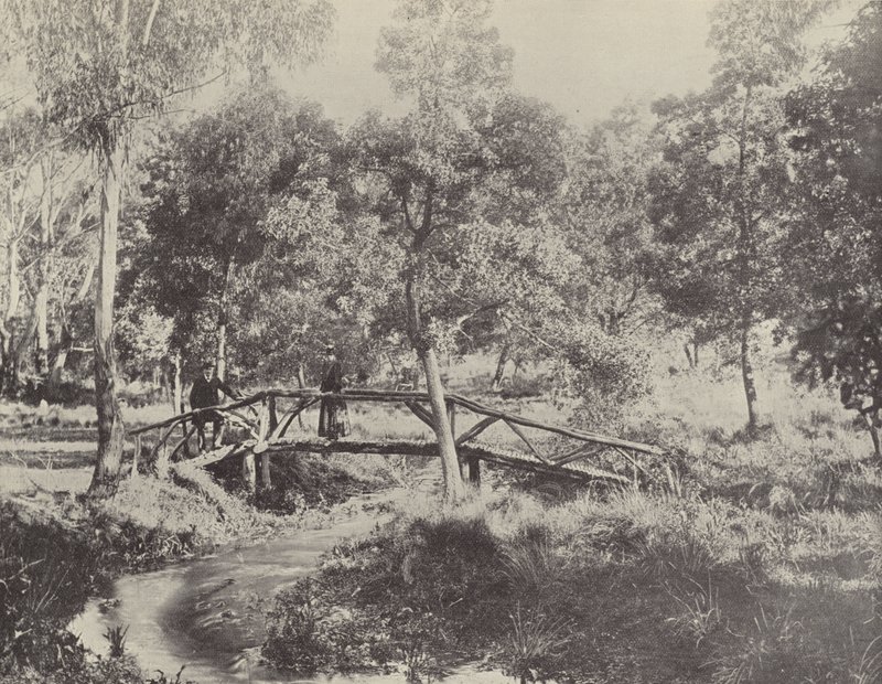 Eine rustikale Brücke, Ballarat Wasserreservat von English Photographer