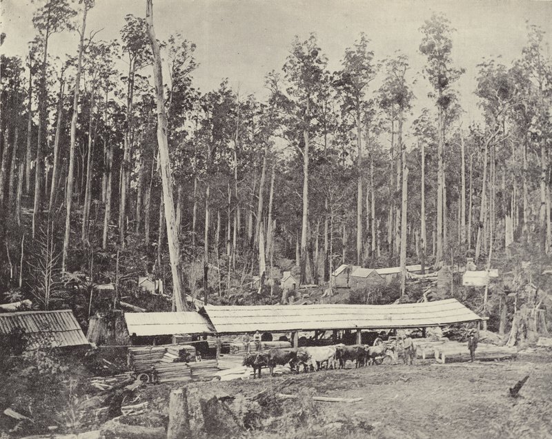 Childers Sägewerk, Gippsland von English Photographer