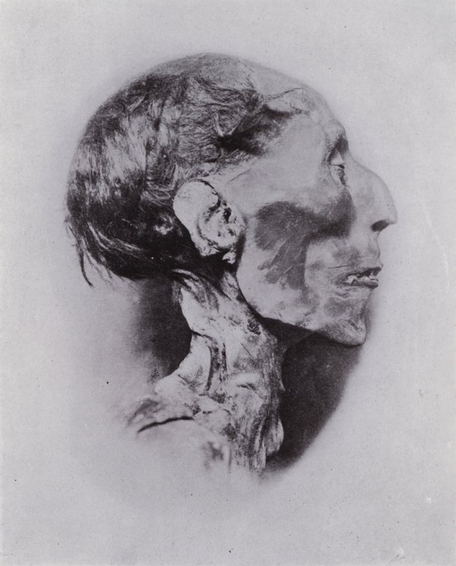 Ägypten: Kopf von Ramses II von English Photographer