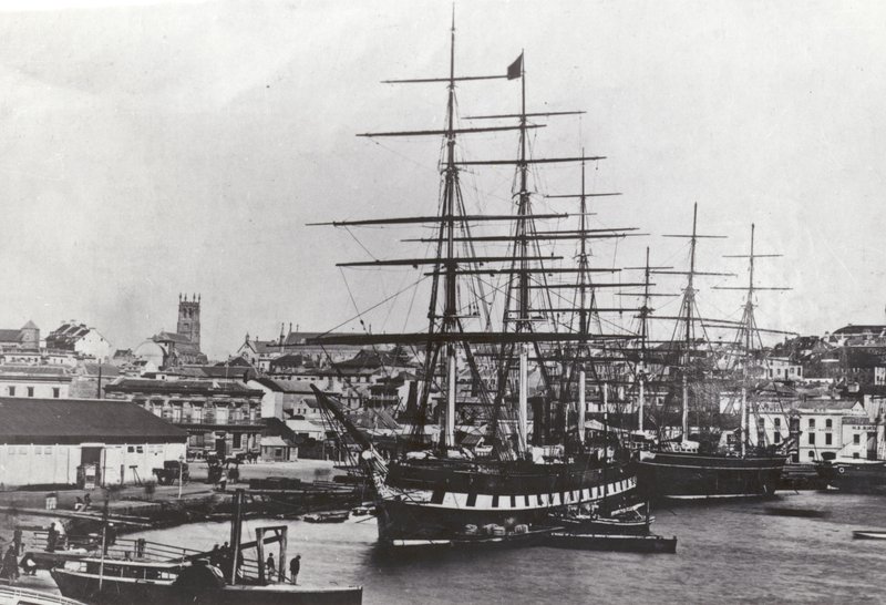 Große Victoria von English Photographer