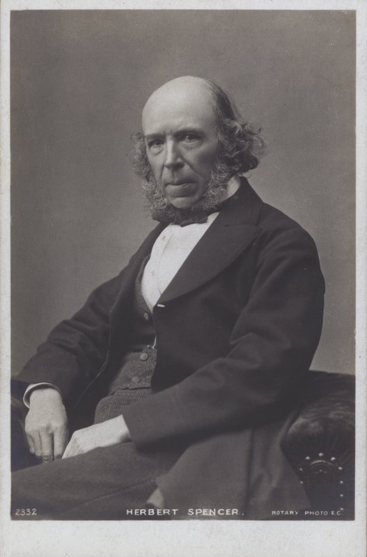 Herbert Spencer (s/w Foto) von English Photographer