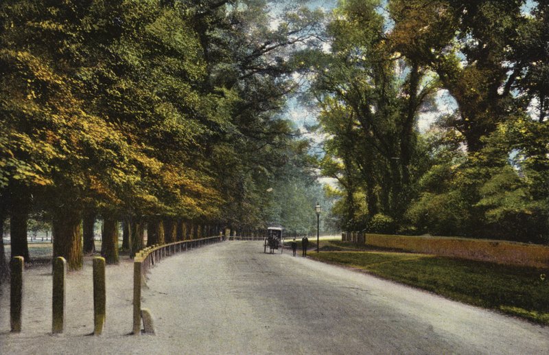Queens Road, die Backs von English Photographer