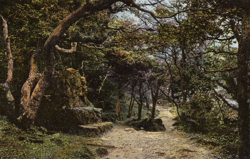 Steinbank, der Erdrutsch von English Photographer