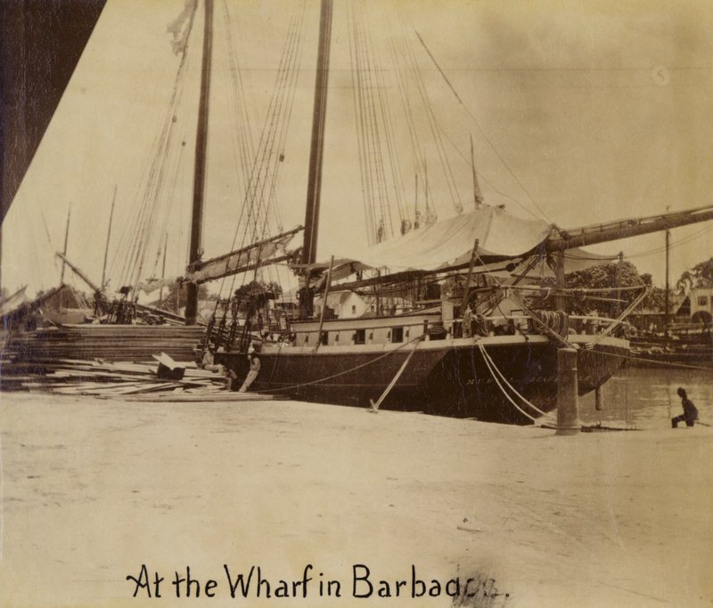 Kai, Bridgetown, Barbados von English Photographer
