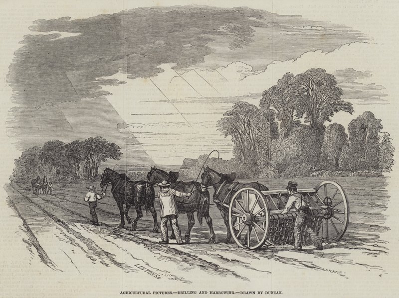 Landwirtschaftliche Bilder, Säen und Eggen (Stich) von English School