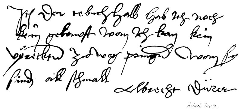 Albrecht Dürer von English School