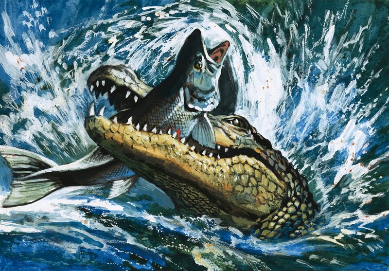 Alligator frisst Fisch von English School