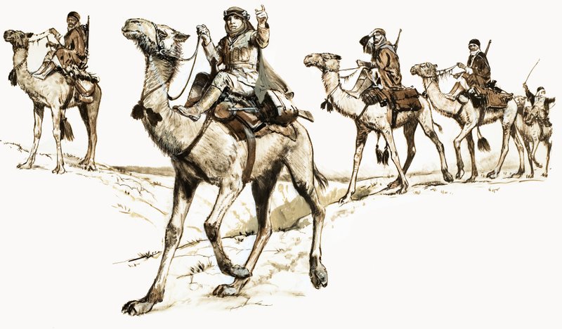 Araber überqueren die Wüste auf Kamelen von English School