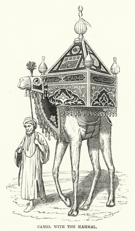 Kamel mit dem Mahmal (Gravur) von English School