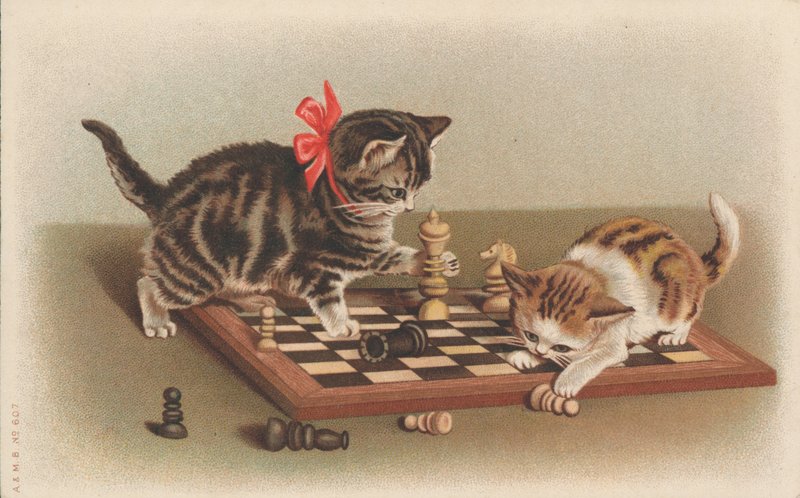 Katzen spielen Schach von English School
