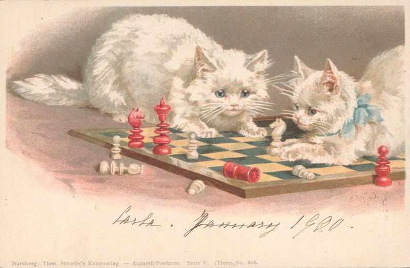 Katzen spielen Schach von English School