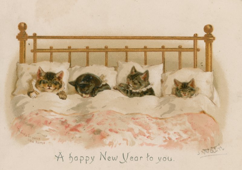 Schlafende Katzen von English School