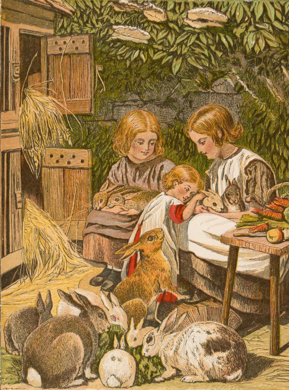 Kinder mit ihren Haustierkaninchen von English School