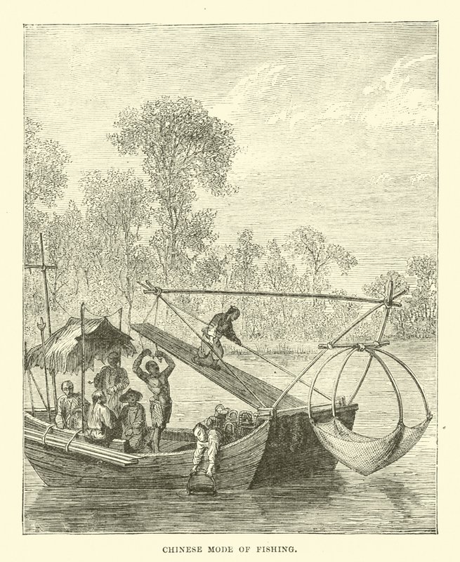 Chinesische Art des Fischens von English School