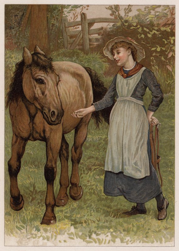Clever Dobbin von English School