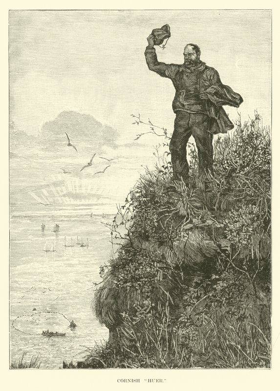 Cornish Huer von English School