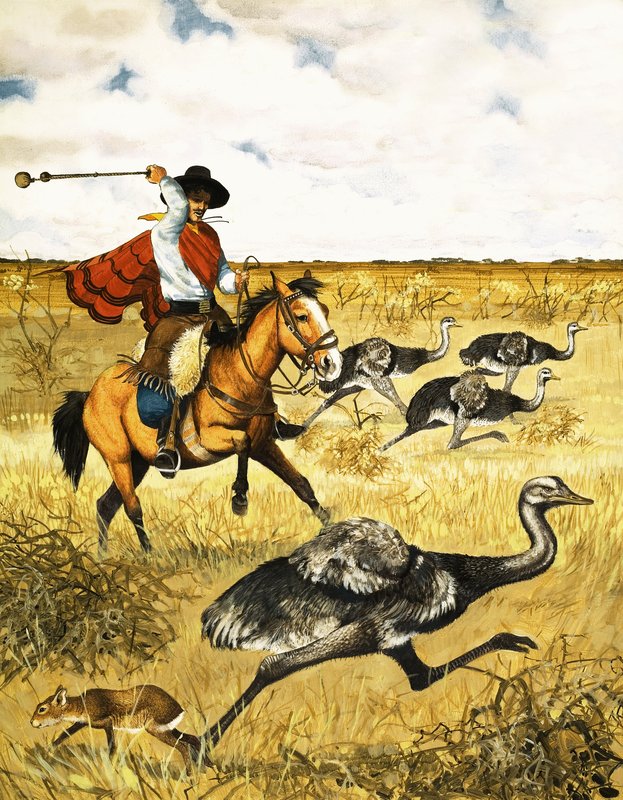 Emu-Jagd von English School