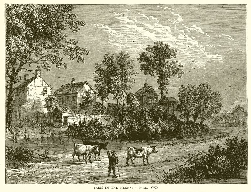 Bauernhof im Regents Park, 1750 von English School