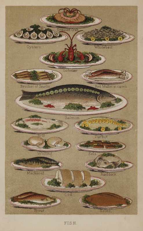 Fisch von English School