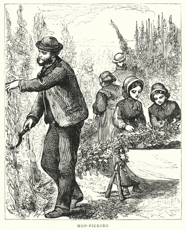 Hopfenpflücken (Gravur) von English School