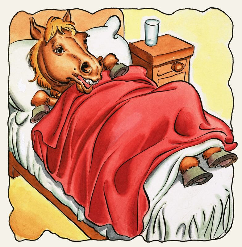 Pferd im Bett von English School