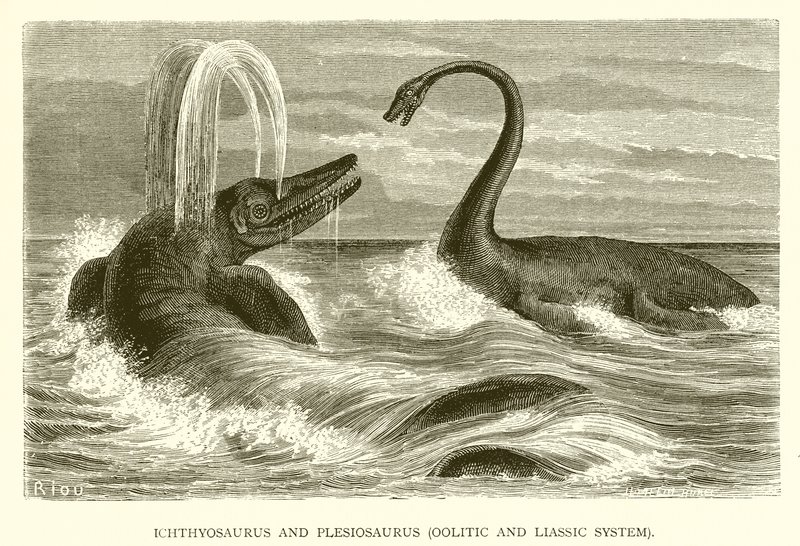 Ichthyosaurus und Plesiosaurus, Jura- und Lias-System von English School