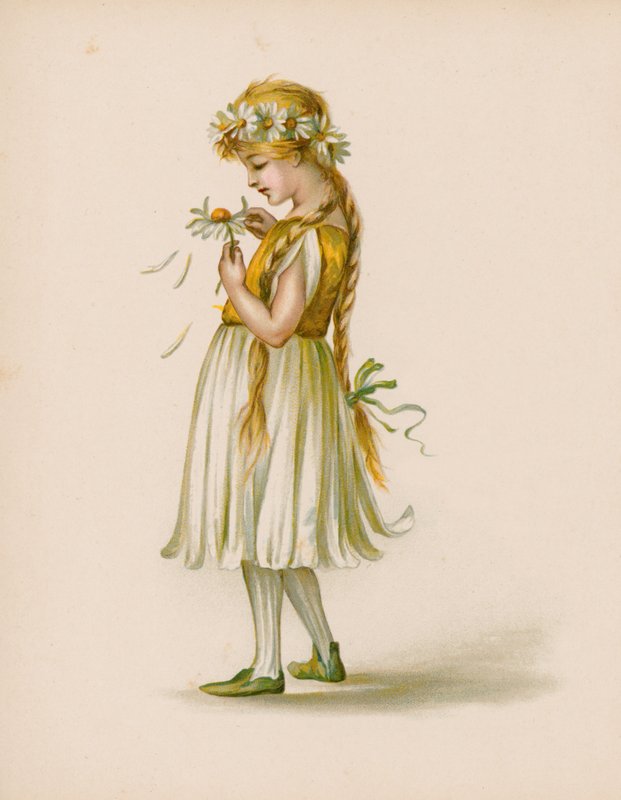 Illustration für Die Sprache der Blumen von English School