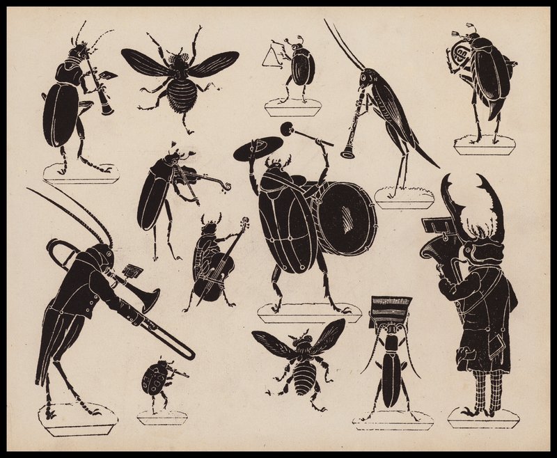 Insekten spielen Musikinstrumente von English School
