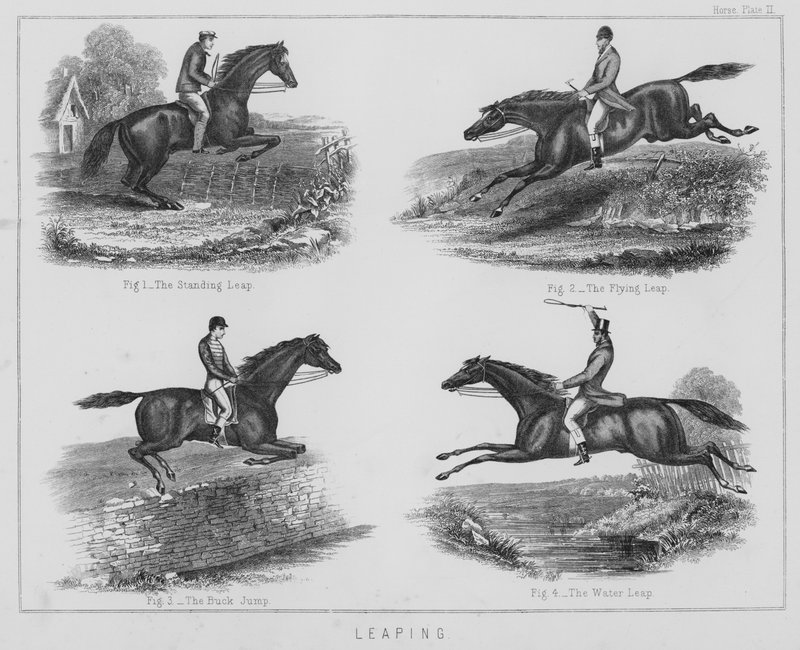 Springen (Lithografie) von English School