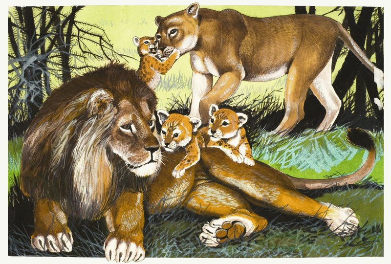 Löwe, Löwin und Junge von English School