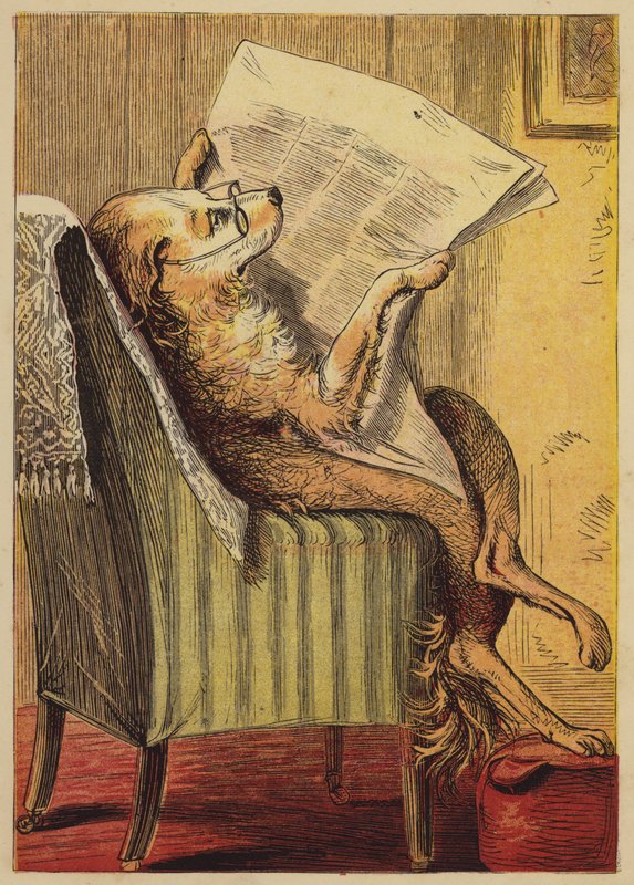 Alte Mutter Hubbard von English School
