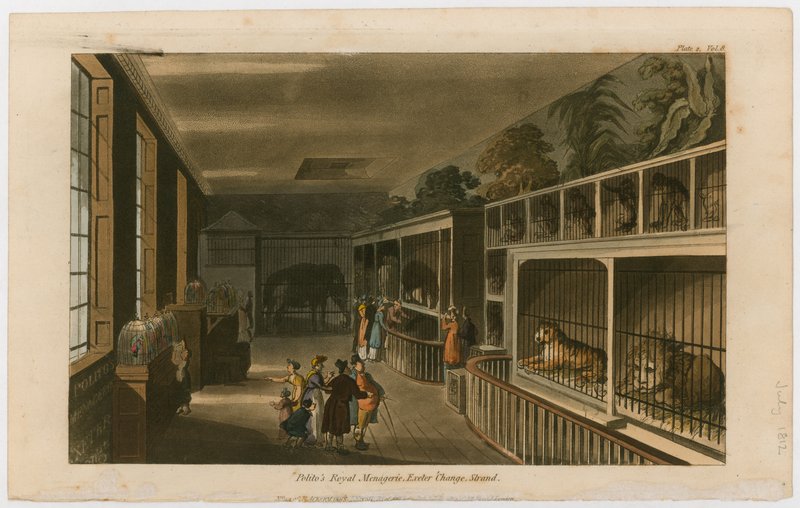 Politos Royal Menagerie, Exeter Change, Strand von English School