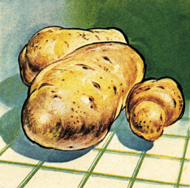 Kartoffeln von English School