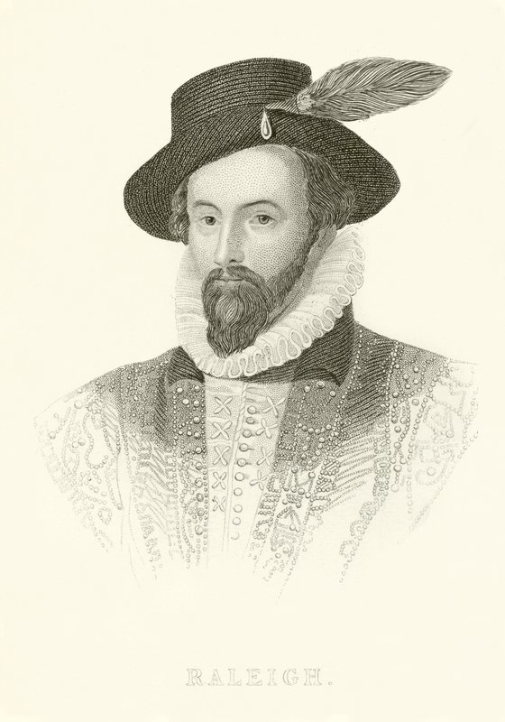 Raleigh von English School