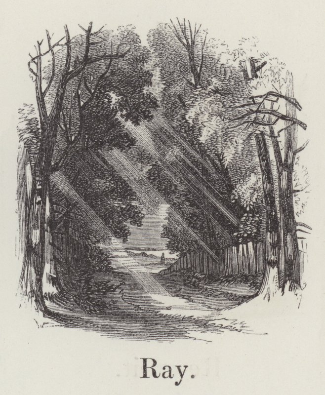 Strahl von English School