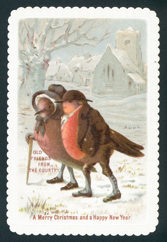Rotkehlchen tragen Kleidung, Weihnachtskarte von English School