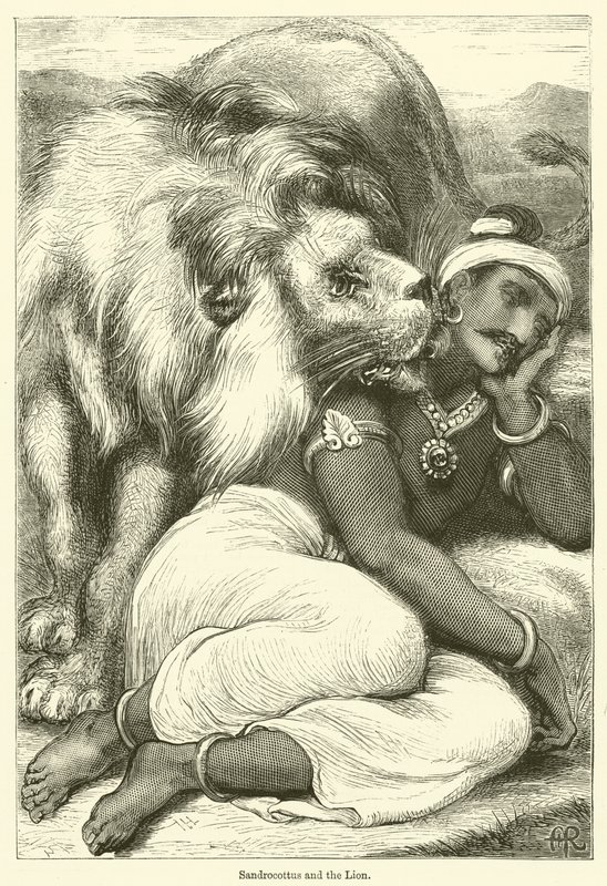 Sandrocottus und der Löwe von English School
