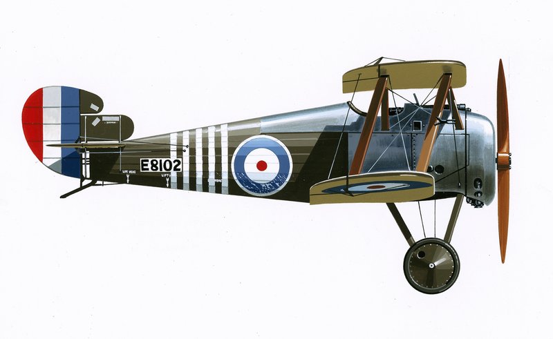 Sopwith 7F.1 Snipe von English School