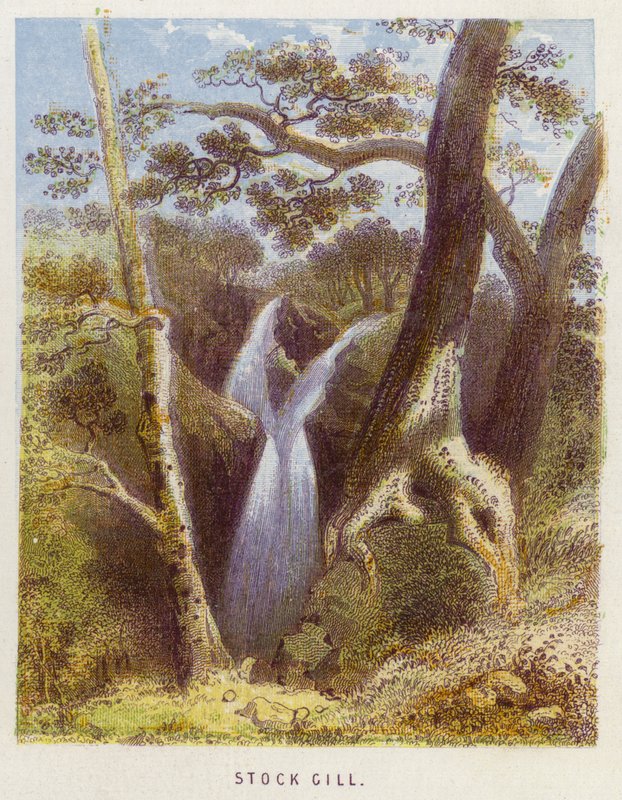 Stock Gill von English School